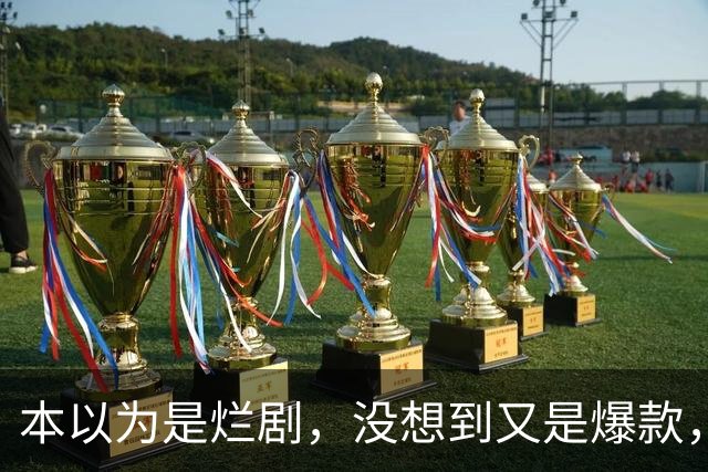 本以为是烂剧，没想到又是爆款，刑侦剧都这样拍，谁还看美剧韩剧